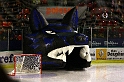 Grenoble-Amiens