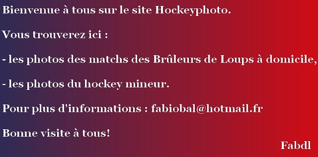 presentationhockeyphoto.jpg
